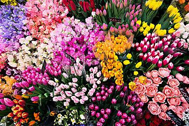 品鉴豪门基因，《极限竞速：地平线5》新车前瞻