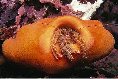 单机新作《仙剑客栈2》正式官宣 2022年上线