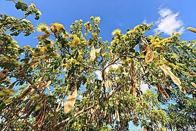 《使命召唤》将来所有的游戏都采用同一引擎开发